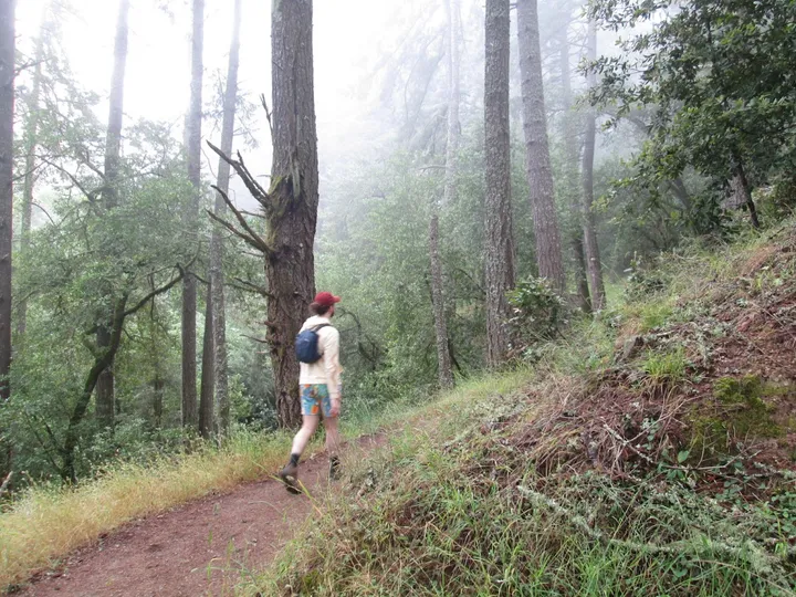 Spencer walking along the trail