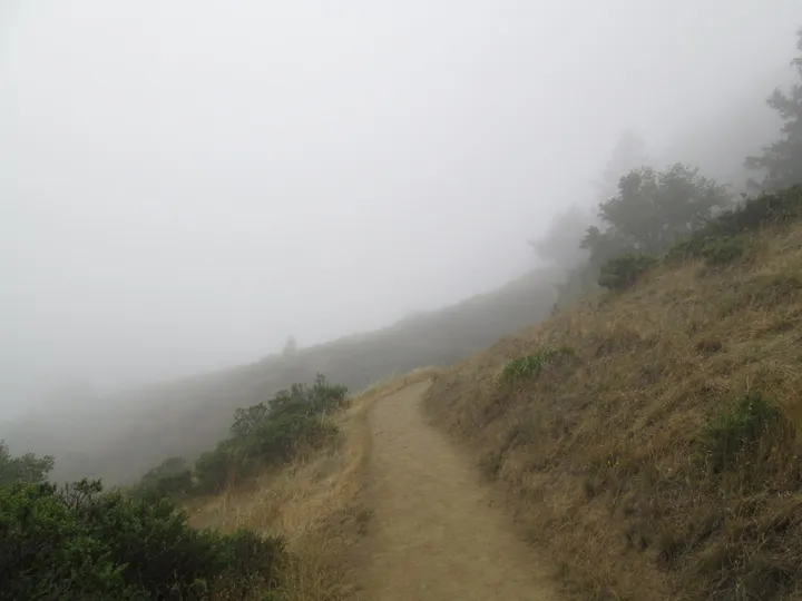 Very Foggy Trail