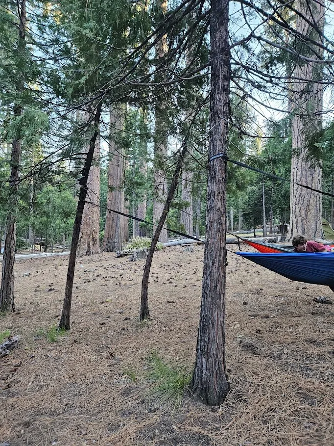 Mason's very structurally sound hammock setup