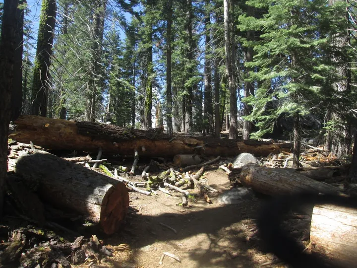 Trail stats