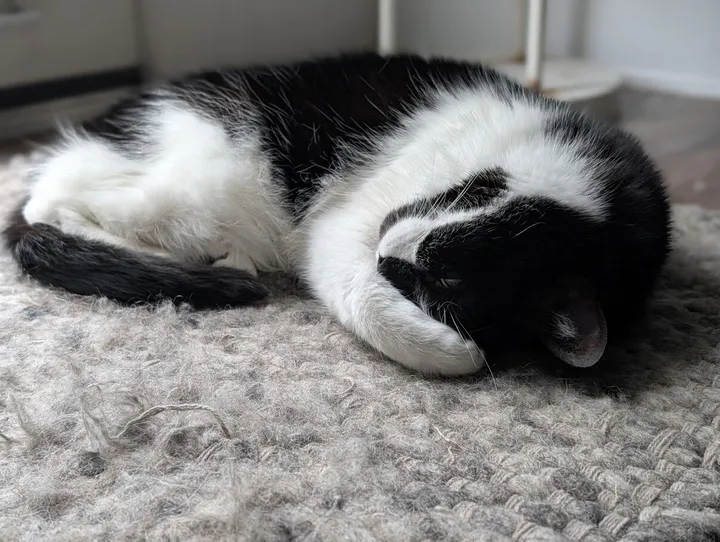 Patchy sleeping