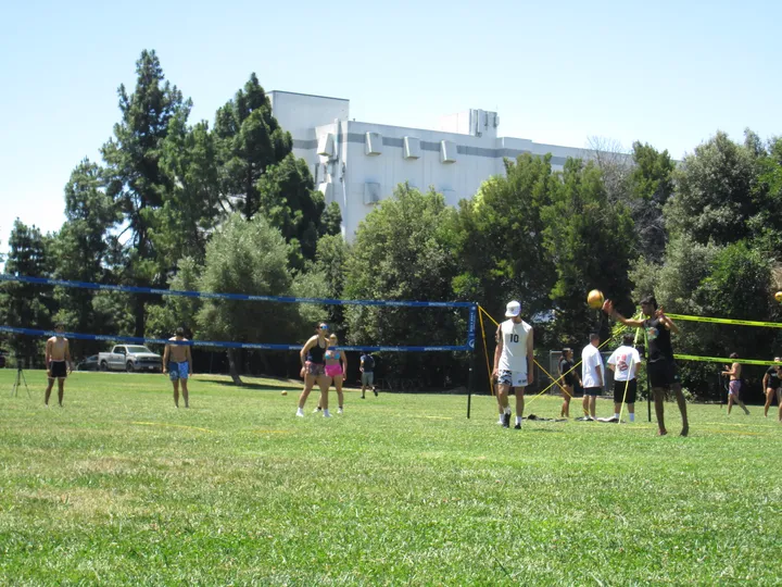 People playing grass volleyball